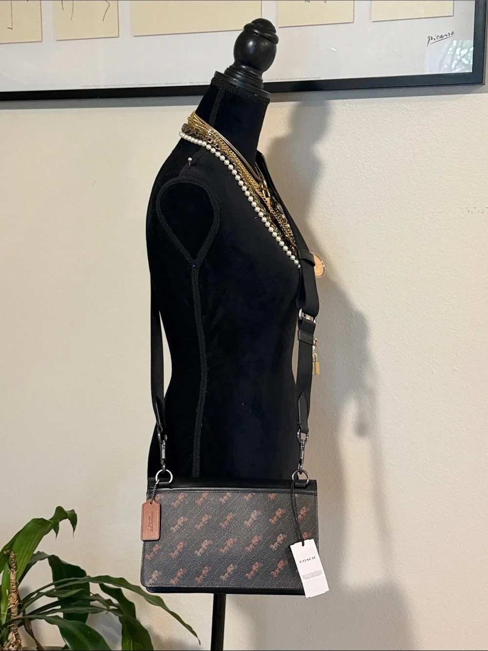 Coach Black and Brown Signature Crossbody Bag